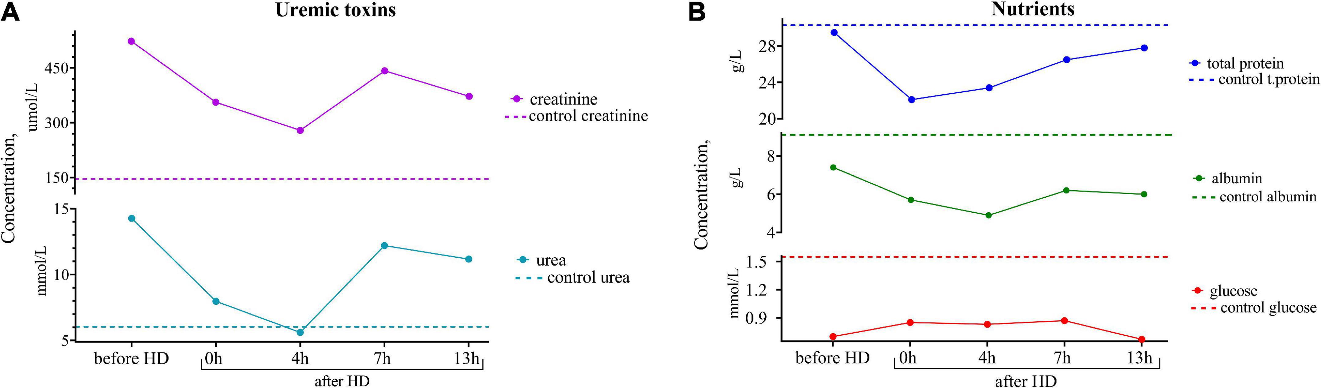 Case report: Applicability of breastfeeding the child of a patient with kidney failure with replacement therapy